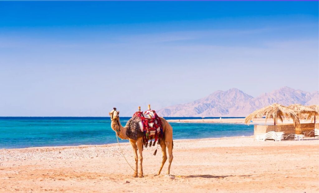 egypt dovolena
